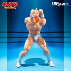 [PRE-ORDER MAYO 2025] S.H FIGUARTS KINNIKUMAN -PERFECT ORIGIN ARC – 16 CM -Character Model KINNIKUMAN PERFECT ORIGIN ARC SH FIGUARTS 7 600x600 1