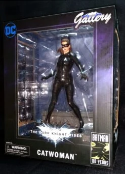DIAMOND SELECT DC MOVIE GALLERY THE DARK KNIGHT RISES: CATWOMAN (SELINA KYLE) – 23 CM -Character Model Scan 3 scaled 1