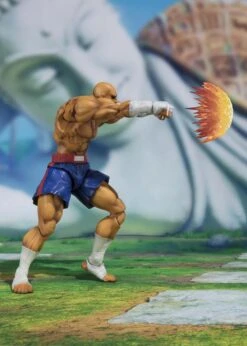 S.H FIGUARTS STREET FIGHTER V SAGAT – 17 CM -Character Model x btn56716 1 a
